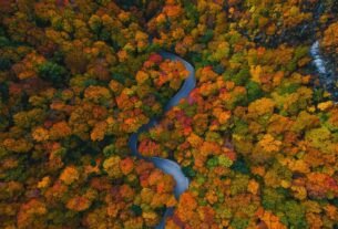 How a year of extreme weather and a ‘Super El Niño’ will affect fall foliage