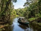 Ilhas, canais e florestas alagadas formam um labirinto natural no parque nacional localizado entre Paraná e Mato Grosso do Sul