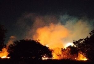 Incêndio atinge área de mata próxima à reitoria da UFRN