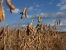 Inmet prevê El Niño mais intenso em novembro e lista riscos para a agricultura