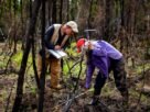Inside the quest to combat Arctic fires and save the planet’s frozen carbon