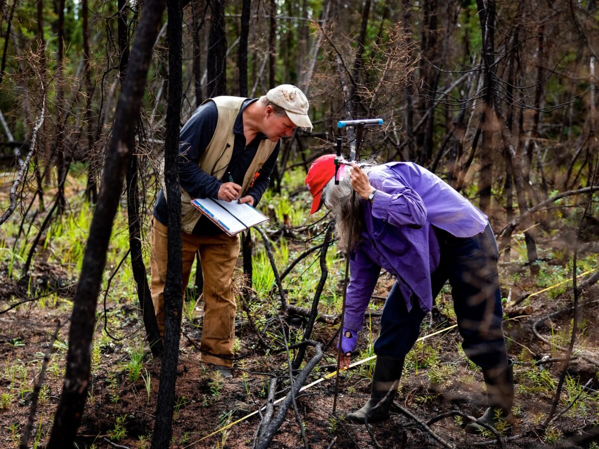 Inside the quest to combat Arctic fires and save the planet’s frozen carbon