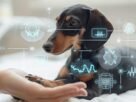 Inteligência Artificial se consolida na Medicina Veterinária e já é adotada por 83% dos profissionais