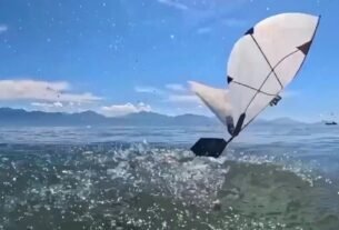 It’s a bird, it’s a plane … it’s a robo-puffin?