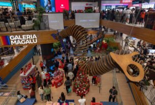 Magazine Luiza fecha parceria com Shopee para vender estoque próprio