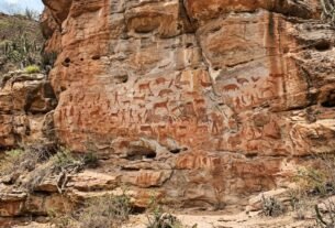 Mais de mil sítios arqueológicos preservam pinturas rupestres e vestígios de antigas populações entre paredões rochosos e vegetação da Caatinga: o parque nacional do Piauí reconhecido pela Unesco em 1991 que guarda registros fundamentais para compreender a ocupação humana das Américas.