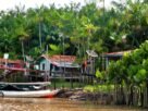 Medir pobreza rural amazônica com régua urbana infla índice em 17%