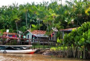Medir pobreza rural amazônica com régua urbana infla índice em 17%