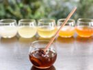 Mel de abelha nativa, que pode lembrar até aroma de abacaxi, estará no Folha Gourmet Festival