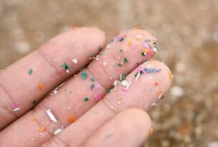Microplastics are linked to inflammation—scientists might have finally worked out why