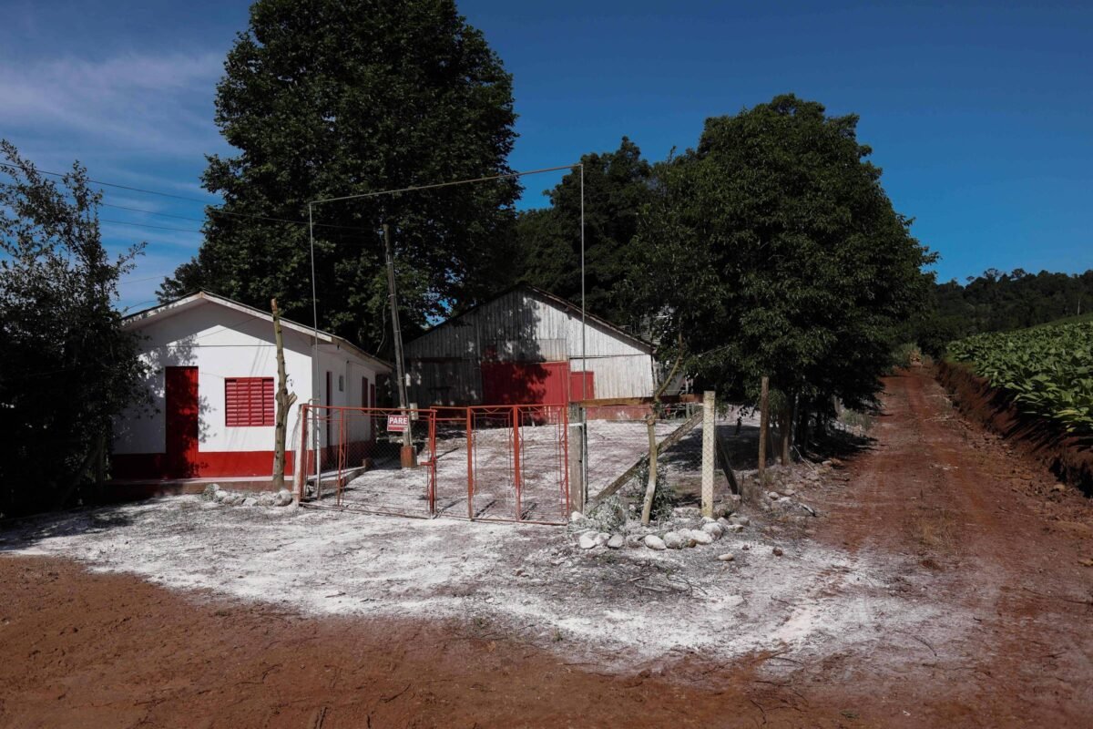 Ministério da Agricultura identifica terceiro foco da doença de Newcastle em Santa Catarina