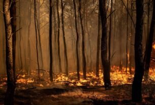 Mudança climática levou a 32 mil mortes em ondas de calor no verão europeu
