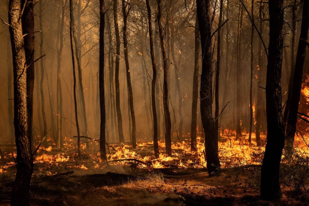 Mudança climática levou a 32 mil mortes em ondas de calor no verão europeu