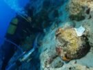 Naufrágio de 4.500 anos pode ser o mais antigo do mundo