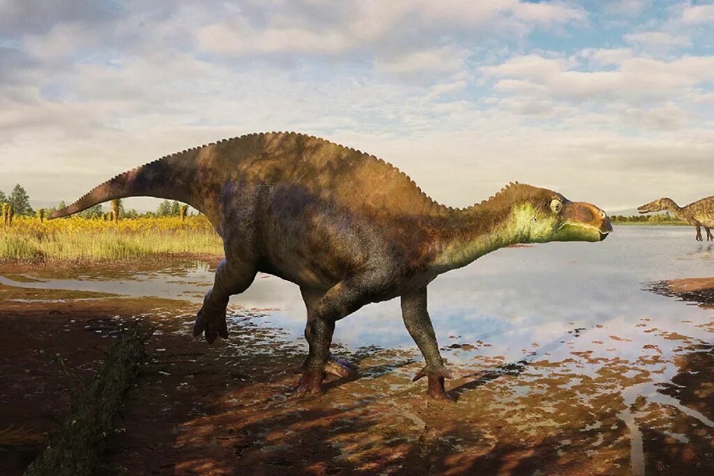 Nova espécie de dinossauro que viveu há mais de 100 milhões de anos é identificada no Reino Unido