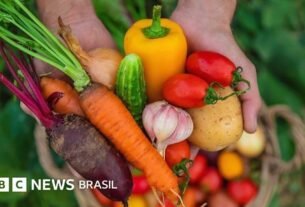 O que devemos comer para ter a pele mais jovem