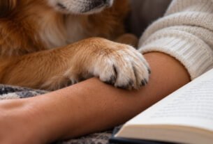 O que significa quando um cachorro coloca a pata sobre o braço do dono?