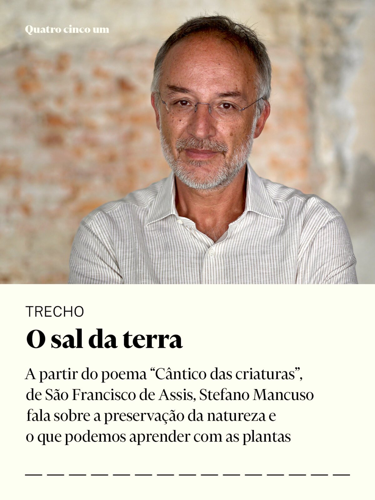 O sal da terra