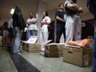 Observatório Eleitoral defende lisura da vitória de Lula e condena golpismo de Flávio