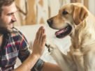 Os pets entendem o que falamos? Como cães e gatos interpretam a comunicação humana