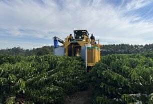Pedidos de recuperação judicial no agro caem 20,7% no segundo trimestre, diz Serasa