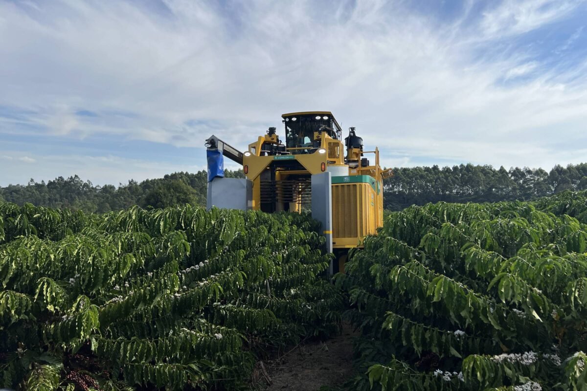 Pedidos de recuperação judicial no agro caem 20,7% no segundo trimestre, diz Serasa