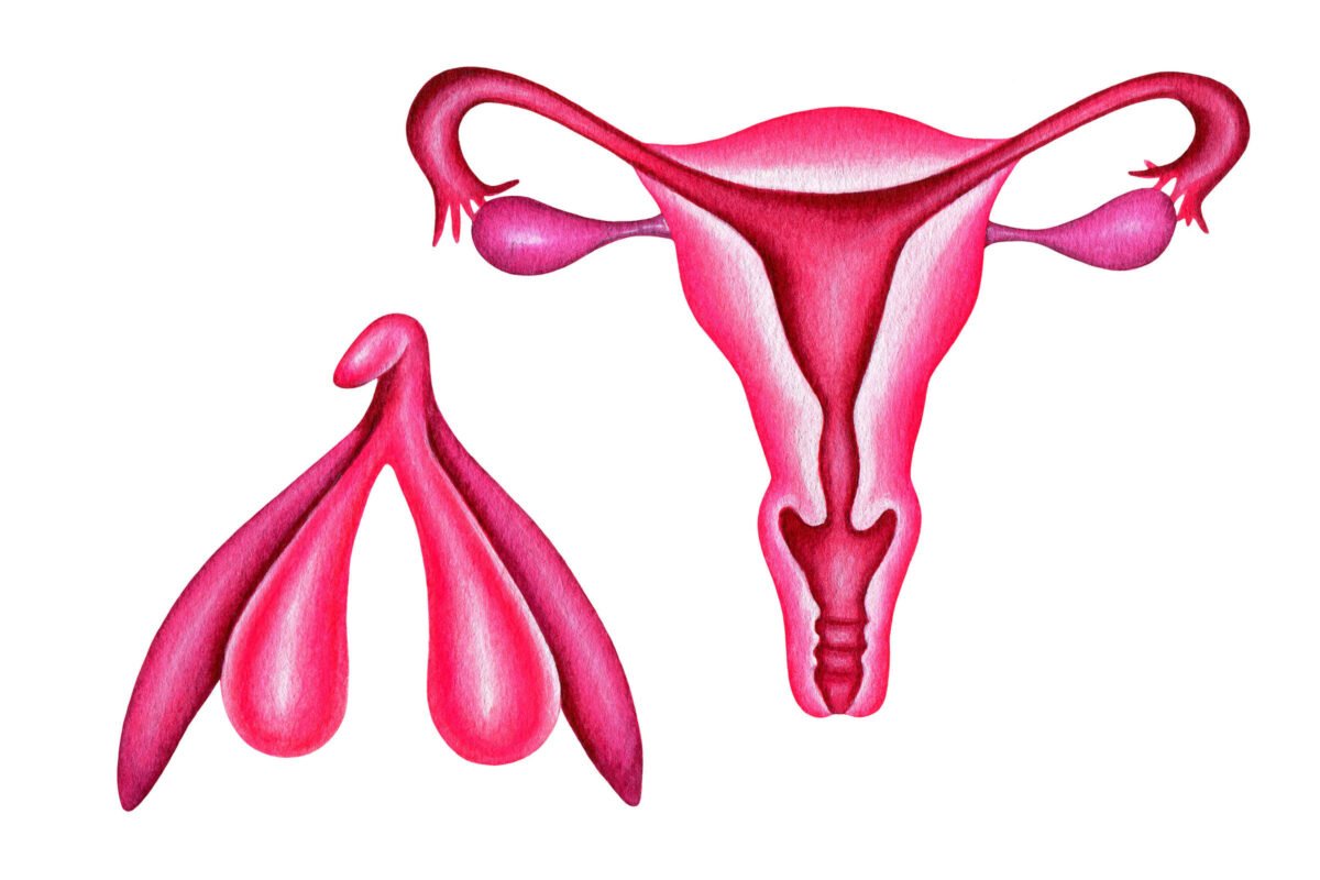 Pela primeira vez, cirurgia reconstrói clitóris após câncer de vulva