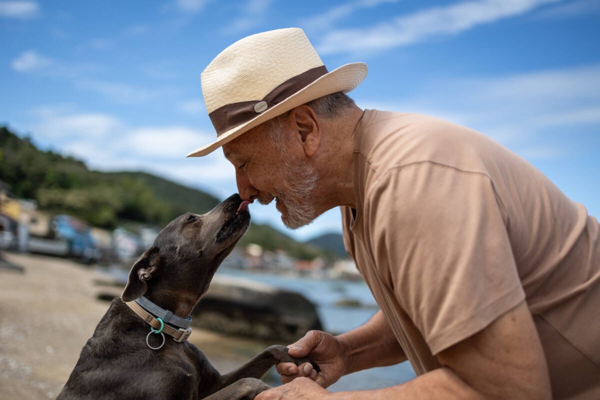 Pets ajudam a tornar a vida de idosos mais ativa e sociável, mas ter um animal exige responsabilidade