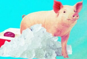 Pig kidneys that were “frozen” for a year have been brought back to life