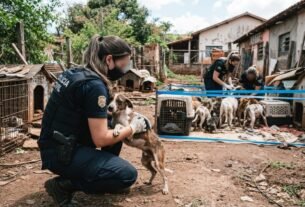 Polícia Civil resgata 12 cães durante investigação de maus-tratos em Uberlândia, no Triângulo Mineiro