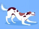 Por que os cães abanam o rabo?