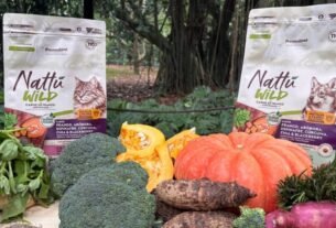 PremieRpet leva novidades da linha PremieR Nutrição Clínica e Nattu Wild para o Medvep 4 em 1