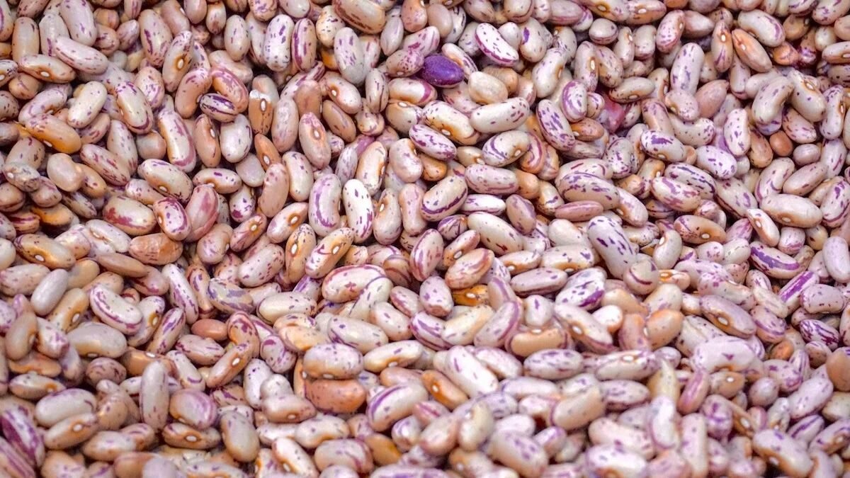 Quanto tempo o feijão precisa ficar de molho antes de cozinhar?