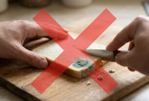 Retirar apenas a parte esverdeada de uma fatia de pão mofado parece suficiente para aproveitar o restante, mas os fungos podem se espalhar por regiões que continuam aparentemente normais: especialistas em segurança alimentar recomendam descartar o pão contaminado, já que sua estrutura porosa facilita a penetração do mofo