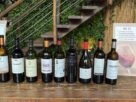 Ribera del Duero mostra no Brasil a força de seus grandes vinhos