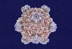 Roundtables: A Conversation With the Creator of AI-Designed Viruses