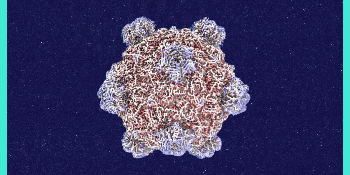 Roundtables: A Conversation With the Creator of AI-Designed Viruses