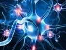 Scientists can now rewire living brains