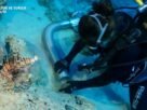 Scientists discover an ancient shipwreck dating to when the Great Pyramid was built