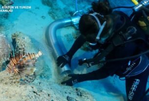 Scientists discover an ancient shipwreck dating to when the Great Pyramid was built