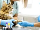 Seu laboratório veterinário sabe se pode confiar nos resultados que libera?