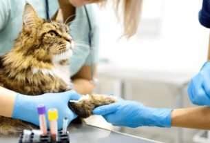 Seu laboratório veterinário sabe se pode confiar nos resultados que libera?