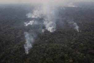 Tarcísio politiza incêndios na amazônia contra Lula, envia bombeiros e posta vídeos semelhantes a filmes de ação