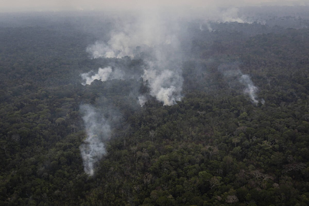 Tarcísio politiza incêndios na amazônia contra Lula, envia bombeiros e posta vídeos semelhantes a filmes de ação