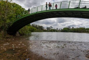Transbordamento e sujeira no lago do Ibirapuera têm ligação com córrego do entorno, diz concessionária