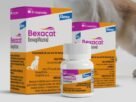 Uma nova era para o tratamento do diabetes mellitus felino