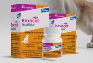Uma nova era para o tratamento do diabetes mellitus felino