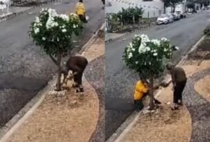 Vídeo flagra coletor de lixo ajudando idosa de 92 anos que limpava árvore na calçada; assista