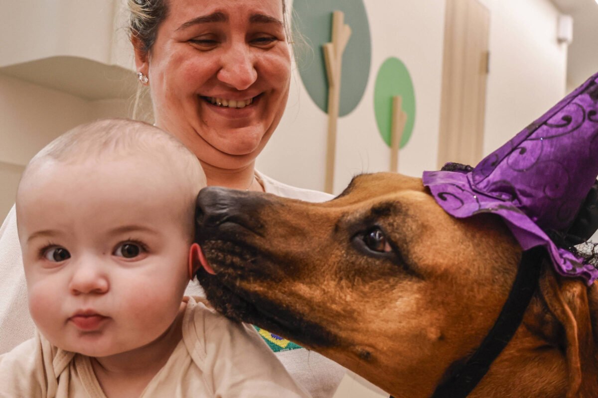 Visitas de animais a hospitais ajudam a reduzir estresse e melhorar bem-estar dos pacientes