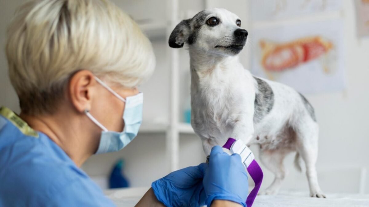 Você sabe como avaliar a qualidade dos exames do seu laboratório de apoio?